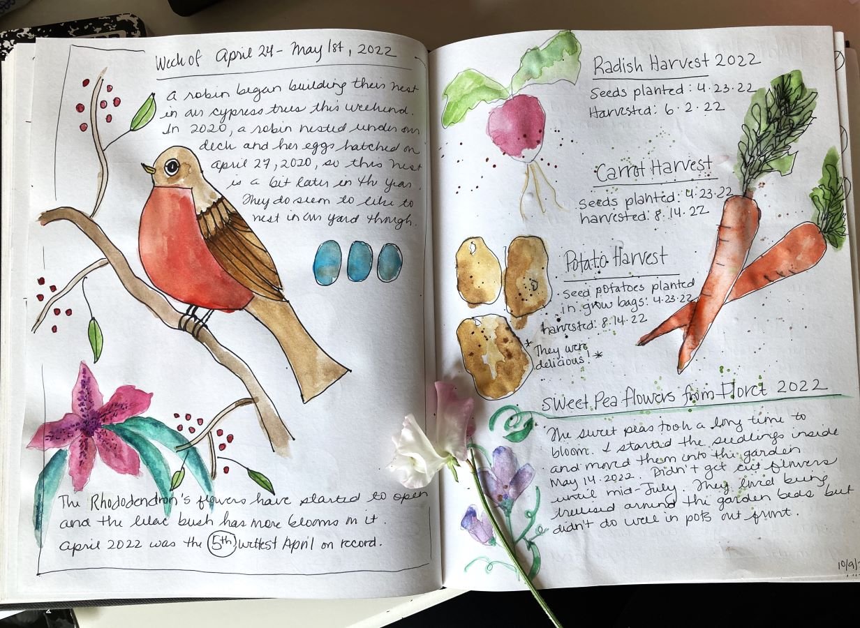 Sharing Inspiration: Join Me for a Tour of Reader Sketchbooks — My Giant  Strawberry: Creative Joy, Watercolor Art and Garden Magic